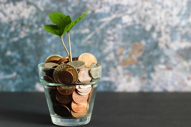 Photo of a glass. The glass is filled with coins and has a sapling growing out of the top