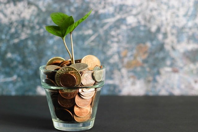 Photo of a glass. The glass is filled with coins and has a sapling growing out of the top